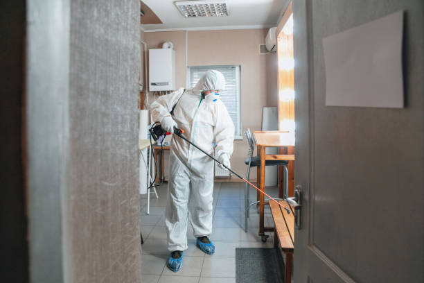 Best Mold Remediation for Healthcare Facilities  in Plainview, TN