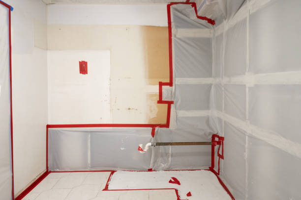 Best Industrial Mold Remediation  in Plainview, TN